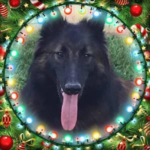 Meet your Posher, Cher